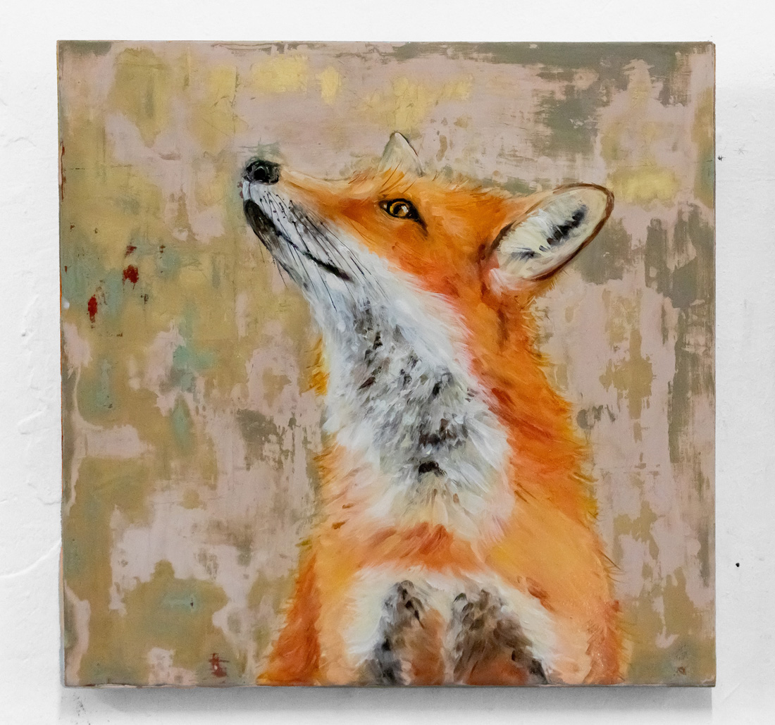 Fuchs hochschauend, 2024