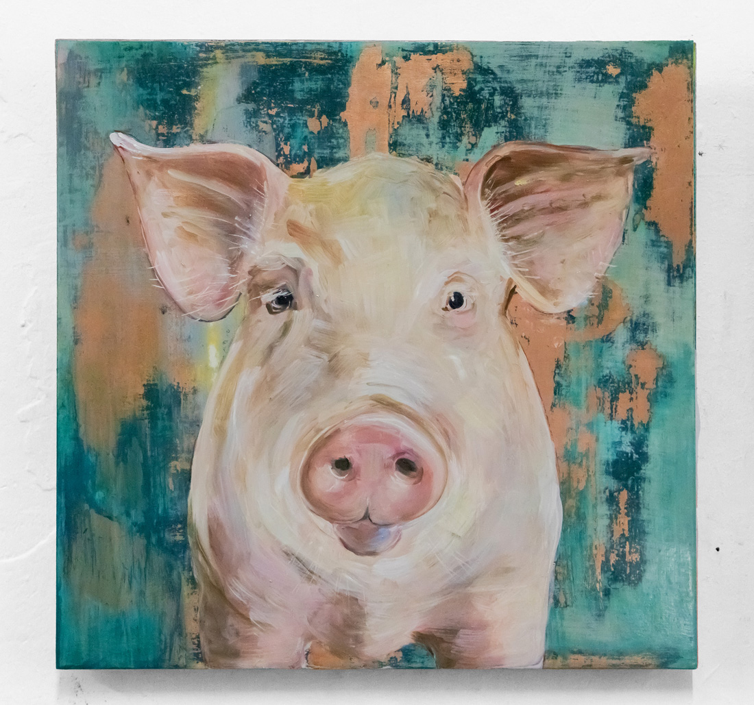 Schwein frontal, 2024